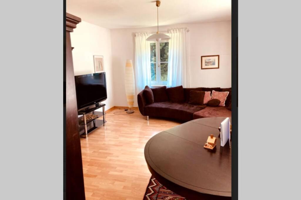 Apartment Cozy Close To Town, Castle, And Hiking Wolfsberg