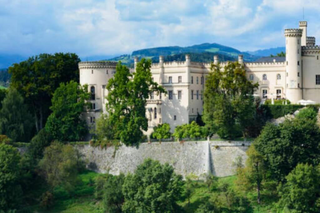 Apartment Cozy Close To Town, Castle, And Hiking *