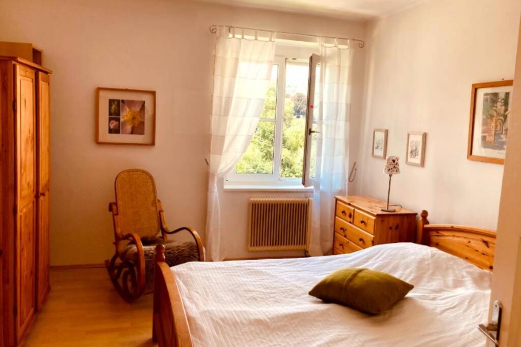 Apartment Cozy Close To Town, Castle, And Hiking Wolfsberg