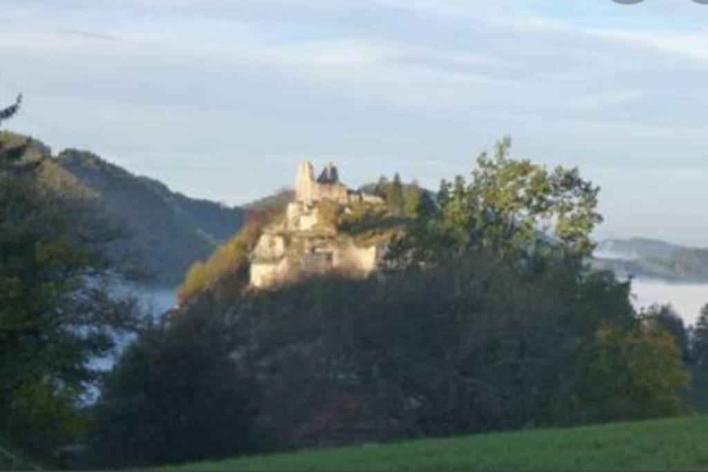 Apartment Cozy Close To Town, Castle, And Hiking *