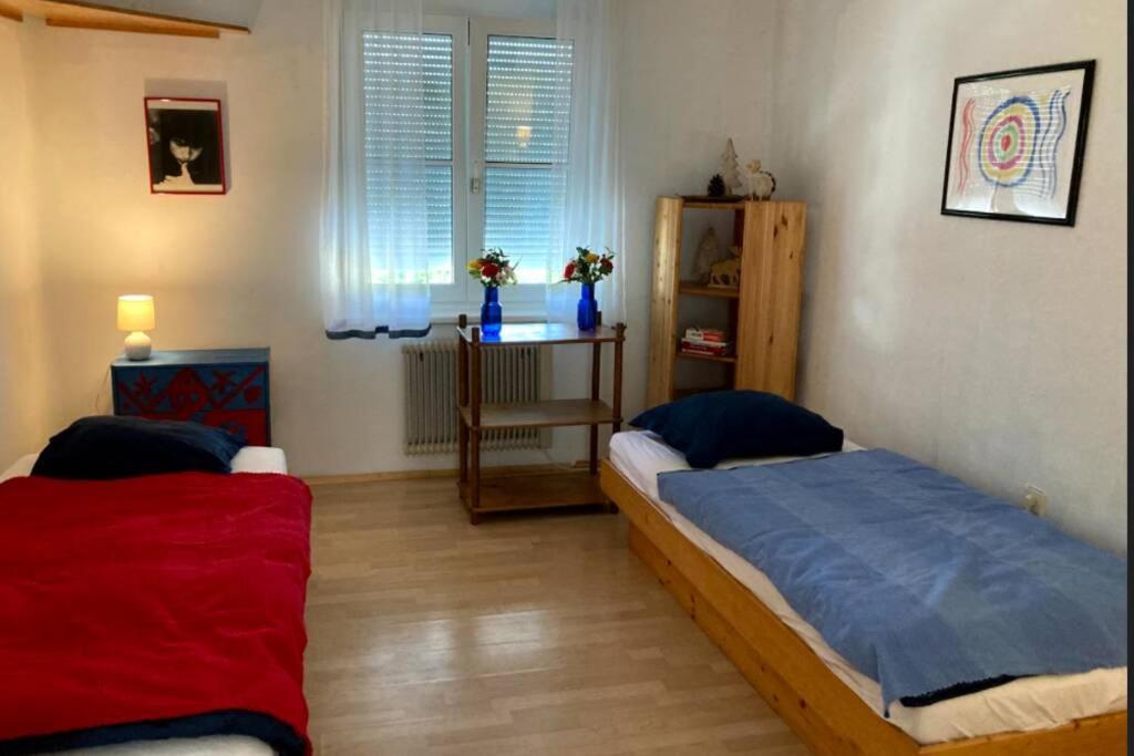 Apartment Cozy Close To Town, Castle, And Hiking Wolfsberg