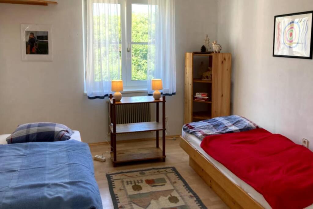 Cozy Close To Town, Castle, And Hiking Apartment *