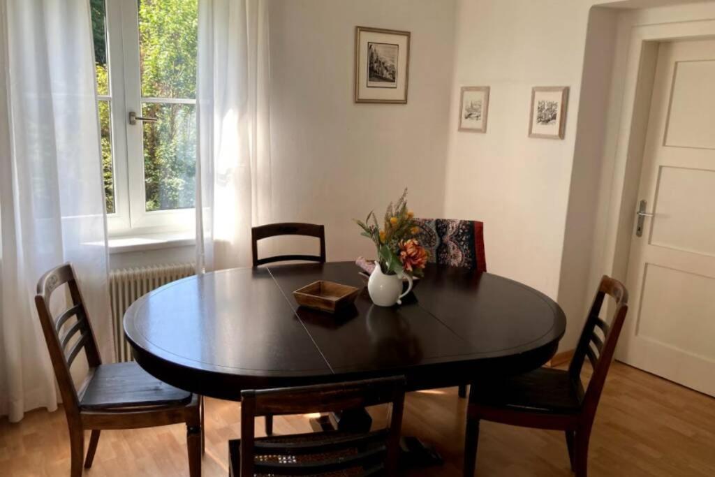 Cozy Close To Town, Castle, And Hiking Apartment