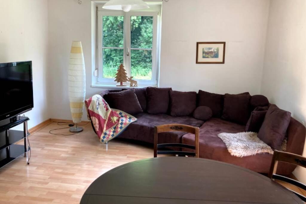 Apartment Cozy Close To Town, Castle, And Hiking Wolfsberg
