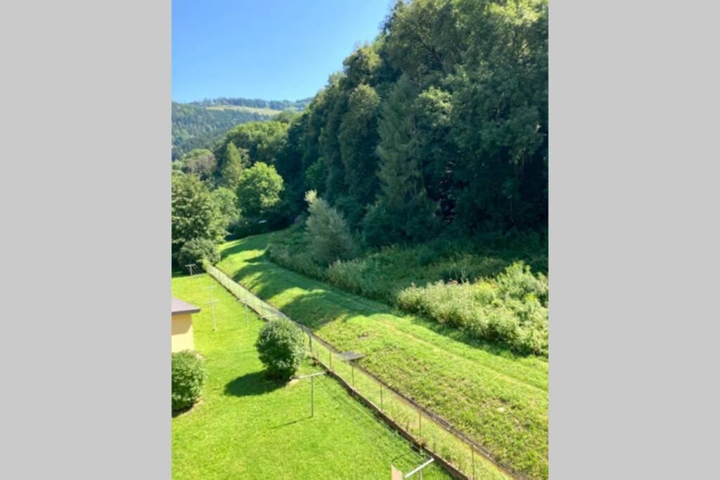 Cozy Close To Town, Castle, And Hiking Wolfsberg